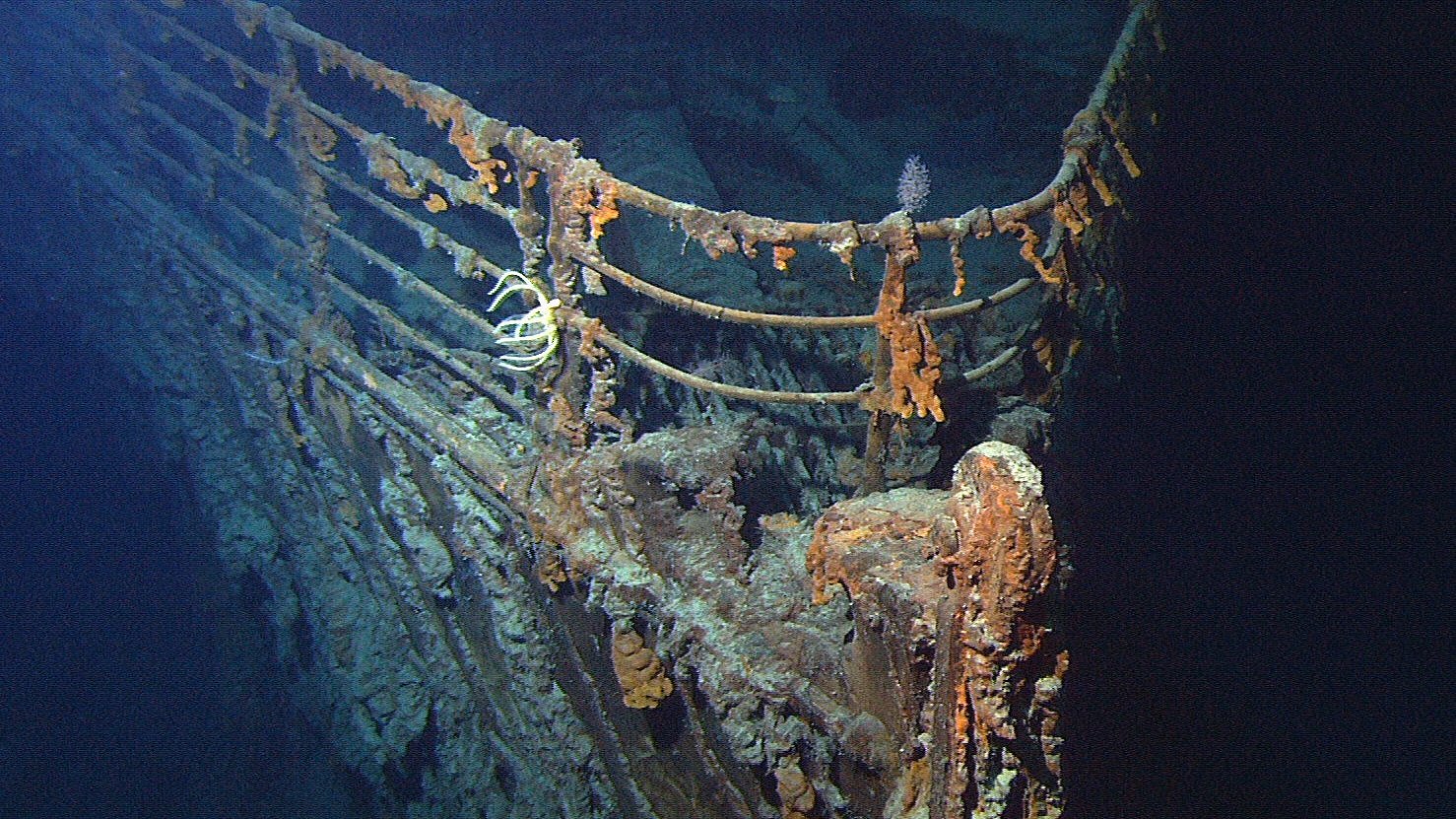 Nahaufnahme des Bugbereichs des Titanic-Wracks am Meeresgrund, mit deutlichen Rostspuren und Meeresbewuchs.