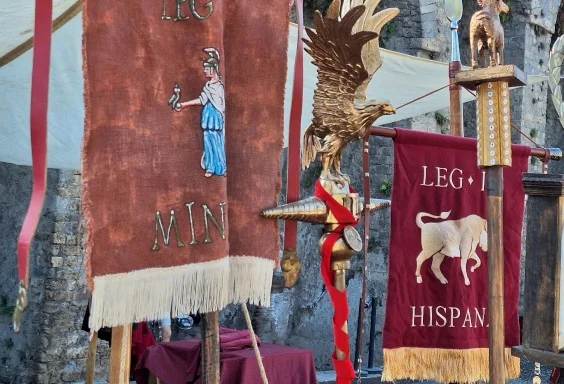 Legion ix Hispania Copyright
