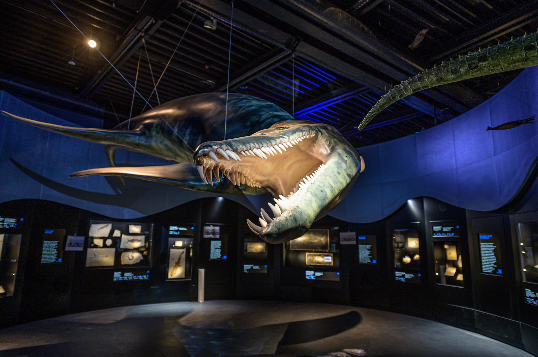 Jura_mit_Liopleurodon