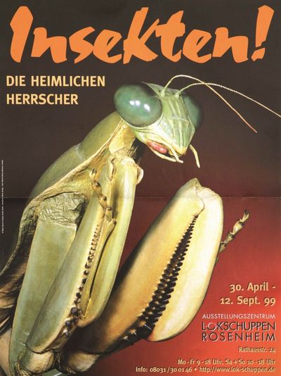 Plakat der Ausstellung Insekten